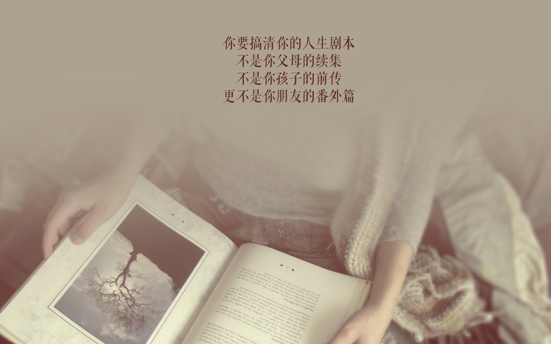 _年度公众投票选择赛事：粉丝主导的精彩活动_，公众号投票活动方案