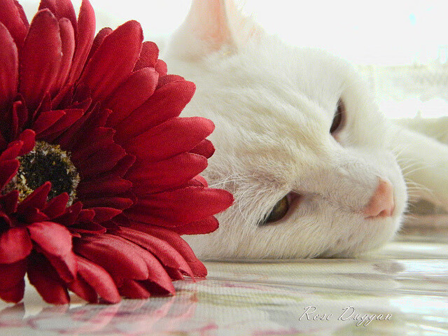 开云官网首页-“逆境中的英雄：极端天气下的坚守与突破”，在逆境中崛起的名人