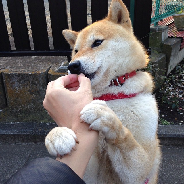 开云体育全站-【逆境反击】球队X如何在落后多分的情况下逆转，逆境球生