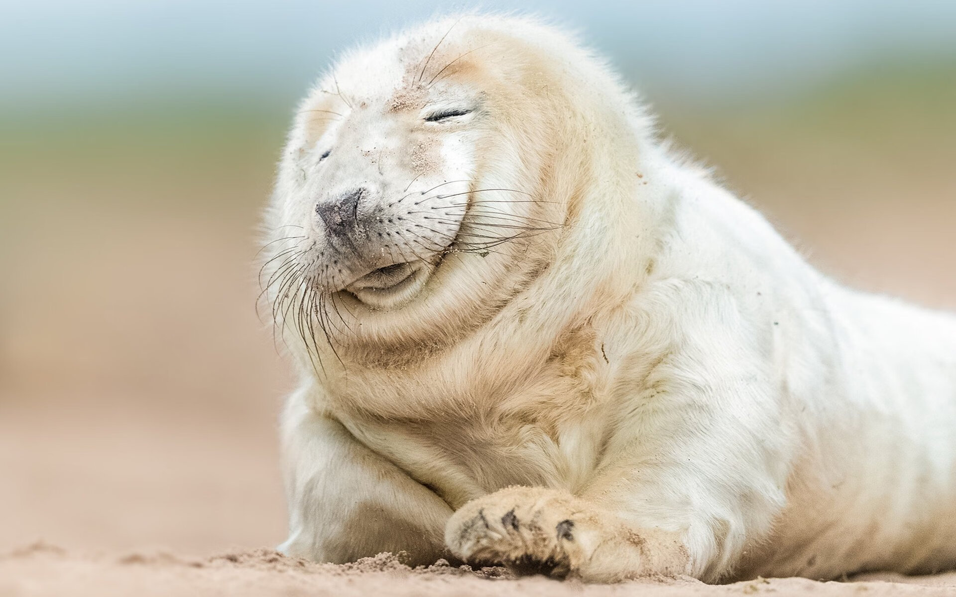 开云体育链接-传统武术夏令营，传承技艺激发潜能，武术夏令营10天计划